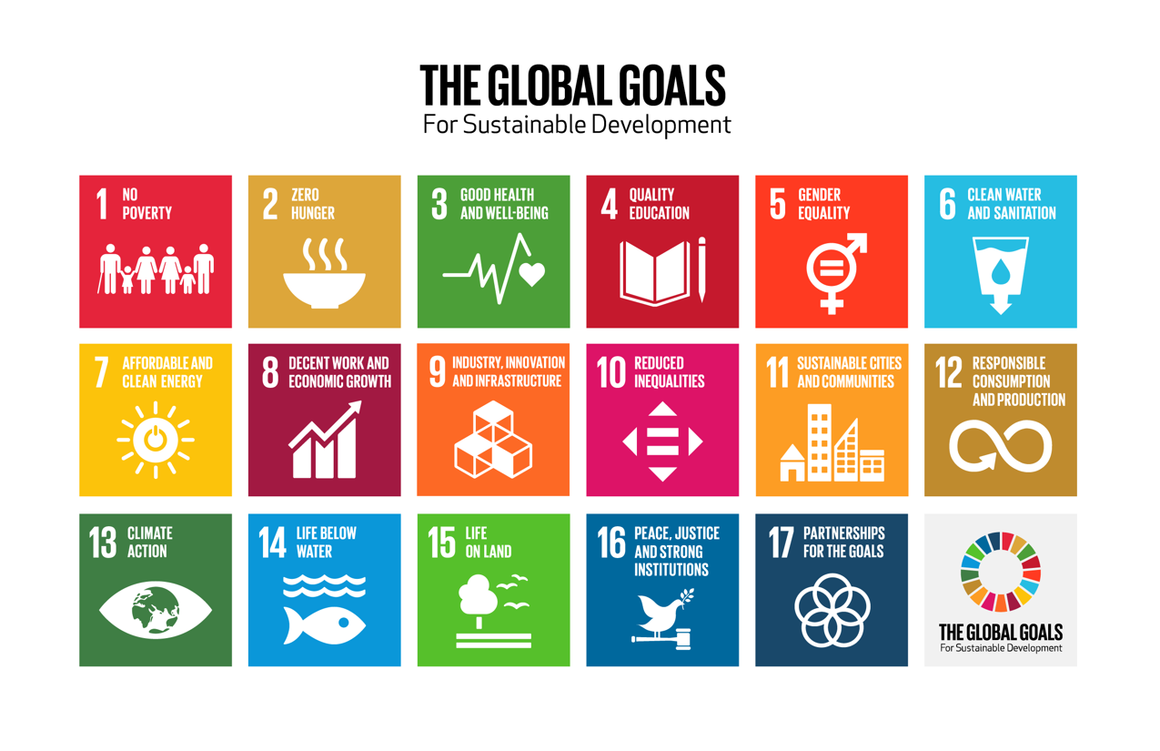 List of the 17 Sustainable Development Goals (SDGs)